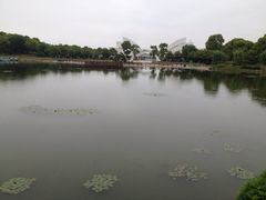 iphone_upload_pic-上海鲜花港