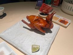 -侨美食家·粤菜(体育西路店)