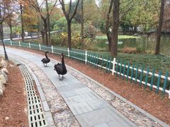 -浙江农林大学(东湖校区)