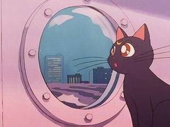 -中南财经政法大学(首义校区)