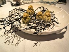 -桂满陇·海市蜃楼·黑金(国金店)