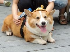 -新光里