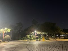 -文华公园(禅城区)