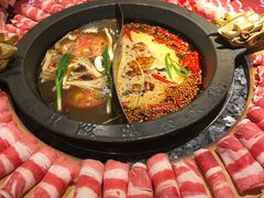 -蜀大侠火锅(四川北路店)