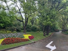-上海虹桥迎宾馆