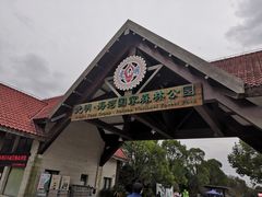 -上海海湾国家森林公园