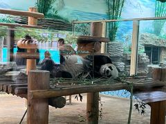 -西霞口神雕山野生动物世界