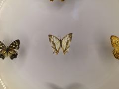 -下渚湖国家湿地公园科普馆