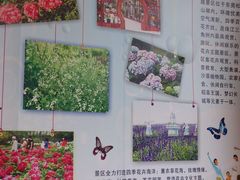 -松山湖梦幻百花洲
