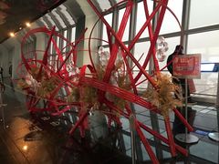 -上海环球金融中心云端足球盛典