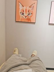 -洗脸猫·洗脸吧