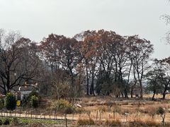 -塔川景区