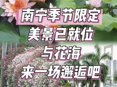 -南宁南湖公园