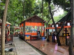 -二荆条·蜀鲜汇城市森林火锅