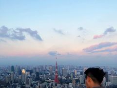 -六本木新城展望台(东京城市景观)