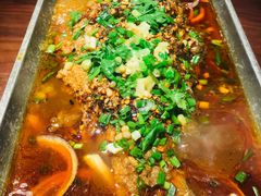 香辣炝锅鱼-树厨地道黔菜(凯里韶山南路店)