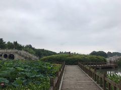 -三圣花乡旅游区