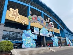 -泉城欧乐堡海洋极地世界