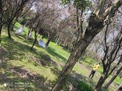 -蜀冈西峰生态公园