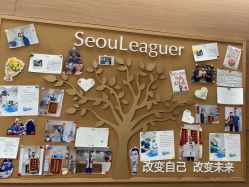 -上海首尔丽格医疗美容医院