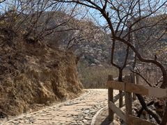 -大岭沟猕猴桃谷风景区