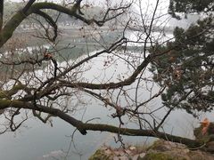 -蒋氏故居