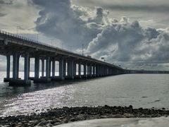 -宝安西湾红树林湿地公园