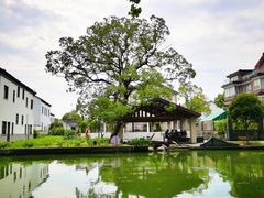 -同里国家湿地公园