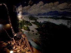 -自贡恐龙博物馆