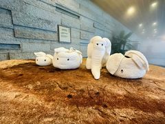 -天目湖涵田半山温泉