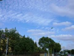 1-复旦张江校区食堂