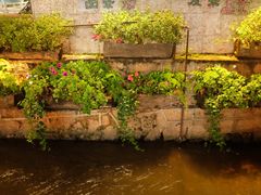 -象山村腊排骨(丽江总店)