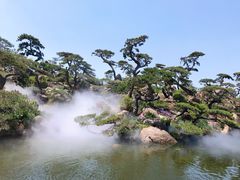 -罗红摄影艺术馆