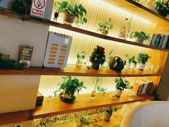 -周三的情书花园餐厅(江北店)