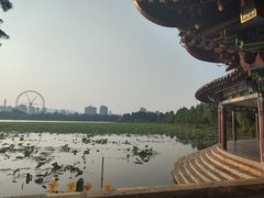 -庾园