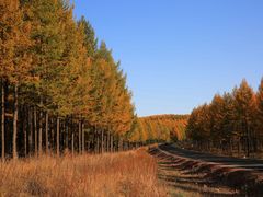 -塞罕坝国家级自然保护区