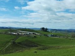 -怀托摩萤火虫洞