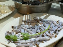 -牛排王糟粕醋火锅(海甸分店)