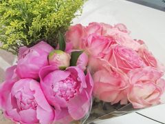 -朝来春花卉市场