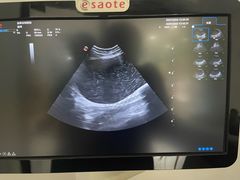 -荔康动物医院(康王北路店)