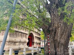 -北京石刻艺术博物馆(五塔寺)
