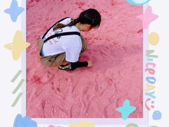 -九龙湖公园