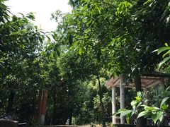 -滴水岩森林公园