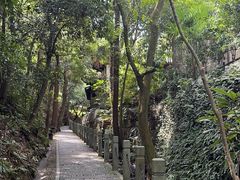 -十八棵（老龙井）御茶园(老龙井店)