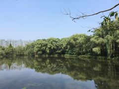 -溱湖国家湿地公园