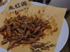 -永红源啤酒·烧烤·海鲜·大排档(青特城店)