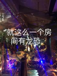 -恐龙探索乐园(磁器口店)