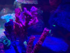 -沈阳海洋探索中心