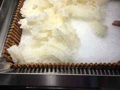 鱿鱼-吉布鲁牛排海鲜自助(朝阳广场店)