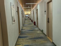 -国宝熊猫酒店(春熙路天府广场店)